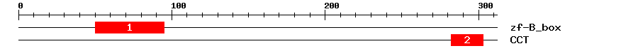 Signature Domain