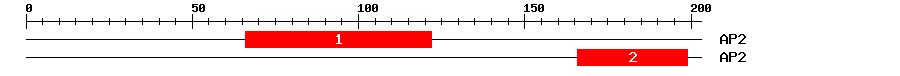Signature Domain