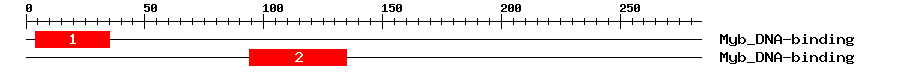 Signature Domain