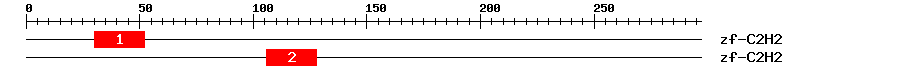 Signature Domain