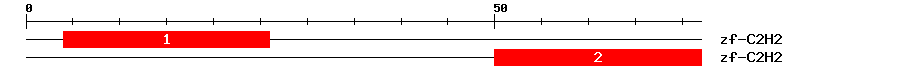Signature Domain