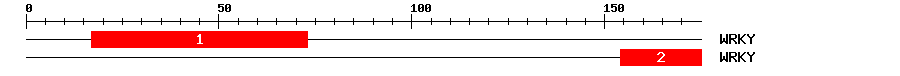 Signature Domain