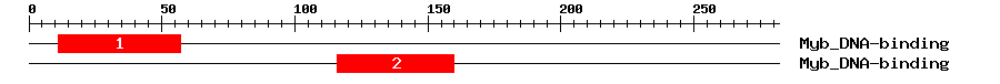 Signature Domain