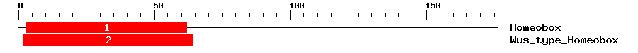 Signature Domain