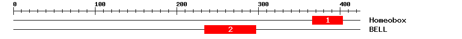Signature Domain