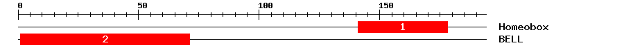 Signature Domain