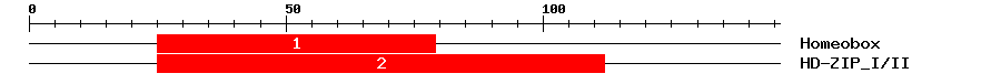 Signature Domain