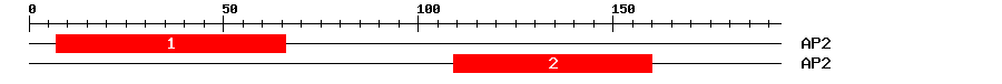 Signature Domain