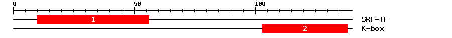 Signature Domain