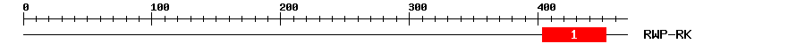 Signature Domain