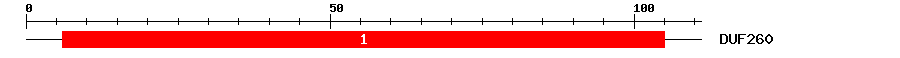 Signature Domain