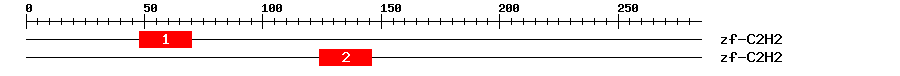 Signature Domain