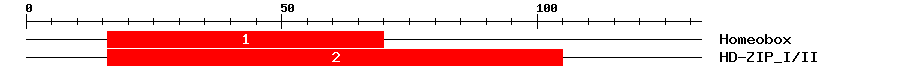 Signature Domain
