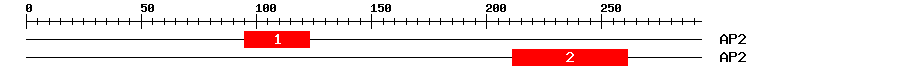 Signature Domain