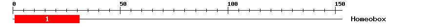 Signature Domain