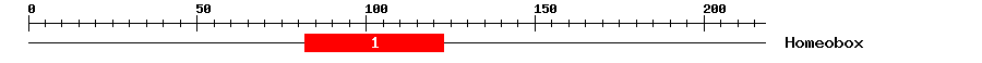 Signature Domain