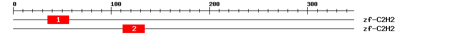 Signature Domain