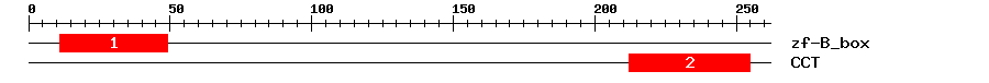 Signature Domain