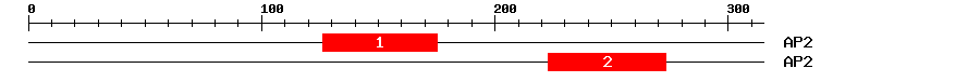 Signature Domain