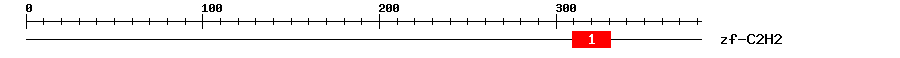 Signature Domain