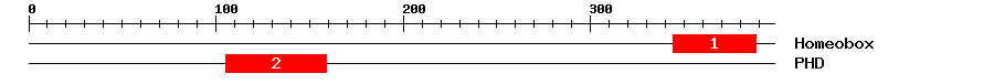 Signature Domain
