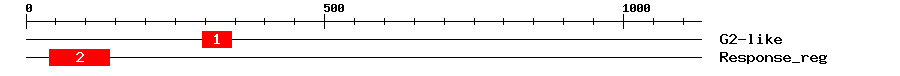 Signature Domain