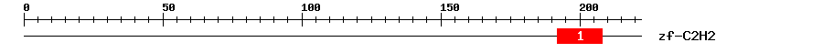 Signature Domain