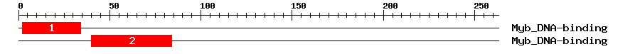 Signature Domain