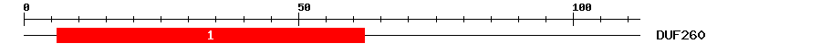 Signature Domain