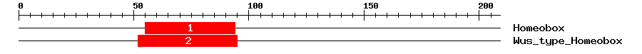 Signature Domain