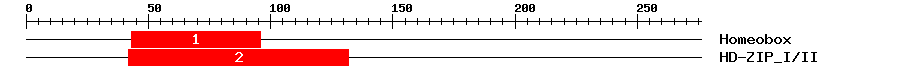 Signature Domain