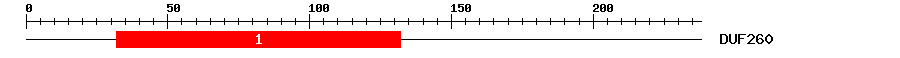 Signature Domain