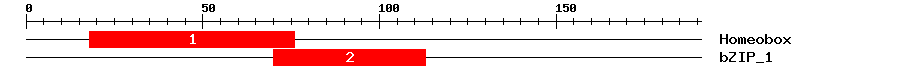 Signature Domain