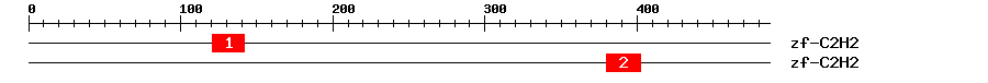 Signature Domain