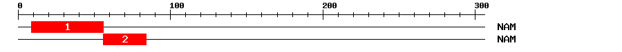 Signature Domain
