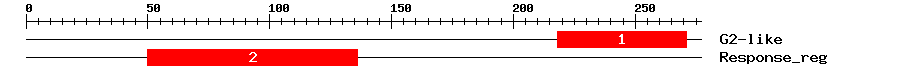 Signature Domain