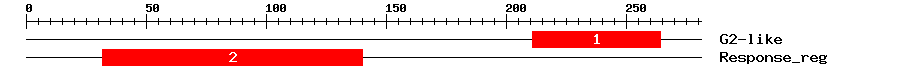 Signature Domain