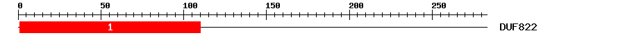 Signature Domain