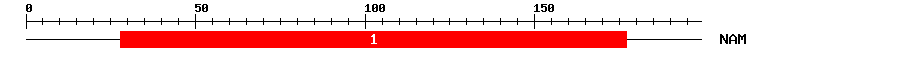 Signature Domain
