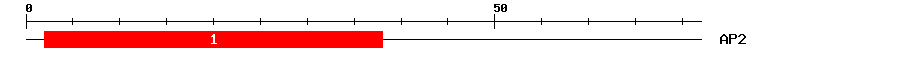 Signature Domain