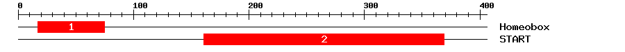 Signature Domain