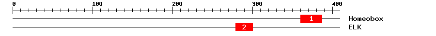 Signature Domain