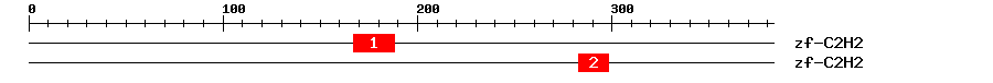 Signature Domain