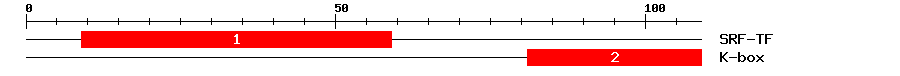 Signature Domain
