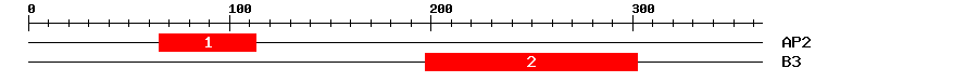 Signature Domain