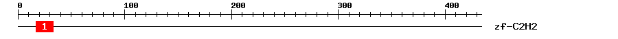 Signature Domain
