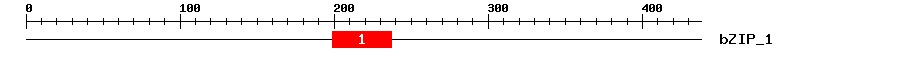 Signature Domain