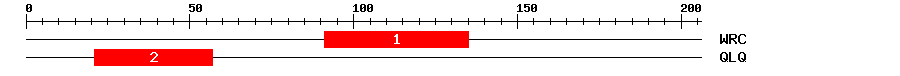 Signature Domain