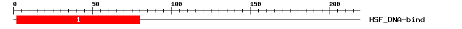 Signature Domain