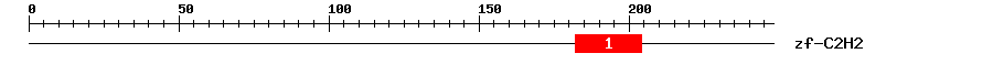 Signature Domain
